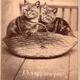 Illustration for article titled Even in the 1870s, humans were obsessed with ridiculous photos of cats